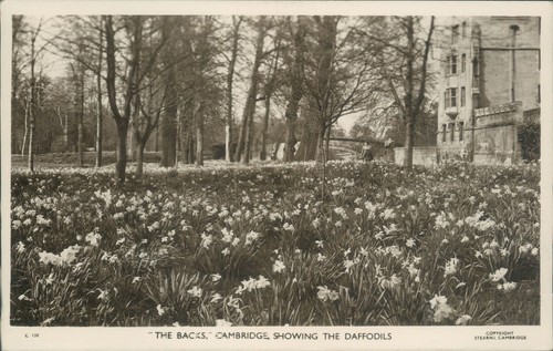 Real photo cambridge the backs - real,