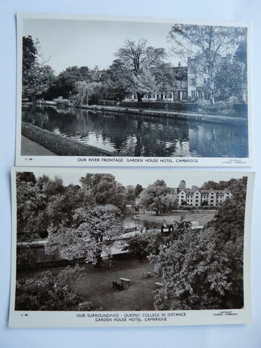 Real photos garden - real, photos,